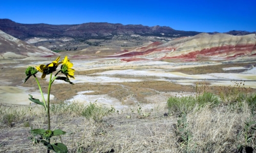 Painted Hills in the John Day Fossil Beds