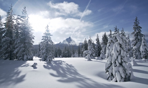 Santiam Pass Oregon