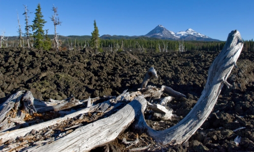 Lava Flows McKenzie Pass Oregon