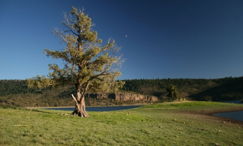 Prineville Oregon