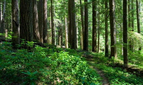 Central Oregon Hiking