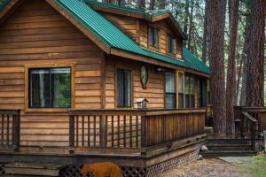 Cold Springs Resort