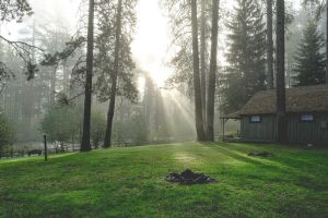 Cold Springs Resort