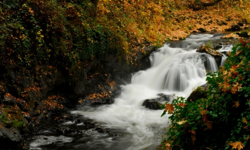 Deschutes River in Autumn