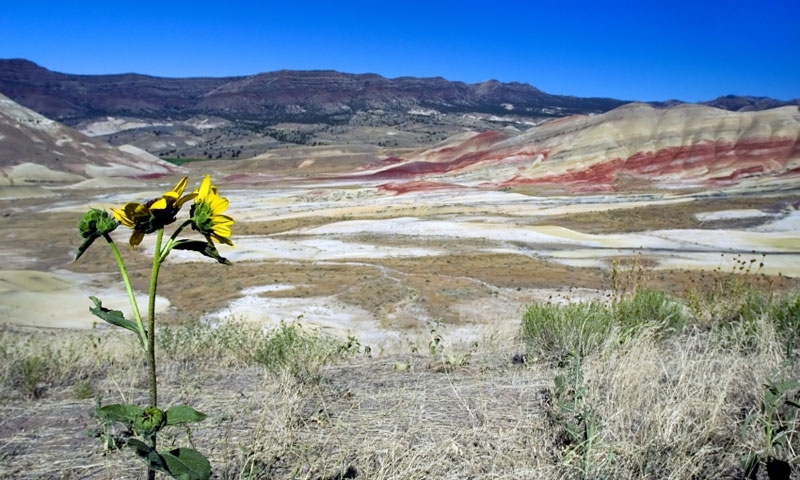 Painted Hills in the John Day Fossil Beds