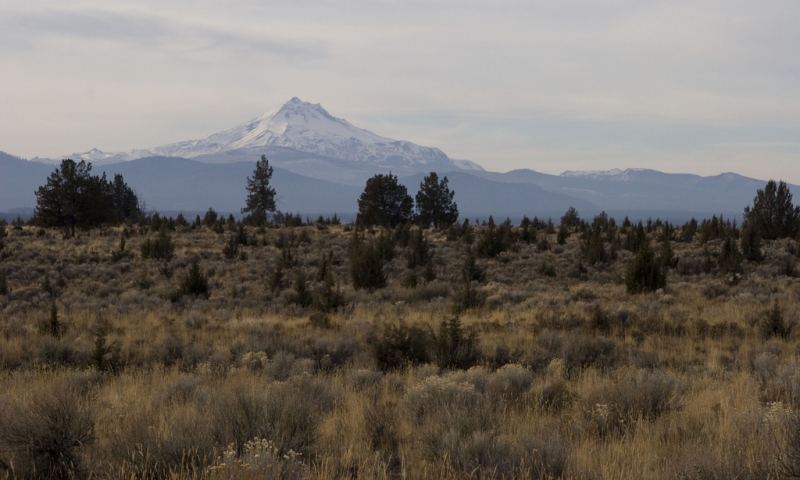 friendly hotels bend oregon pet travel pet friendly hotels lodging in bend oregon autos post friendly hotels bend oregon pet travel pet friendly hotels lodging in bend oregon autos post