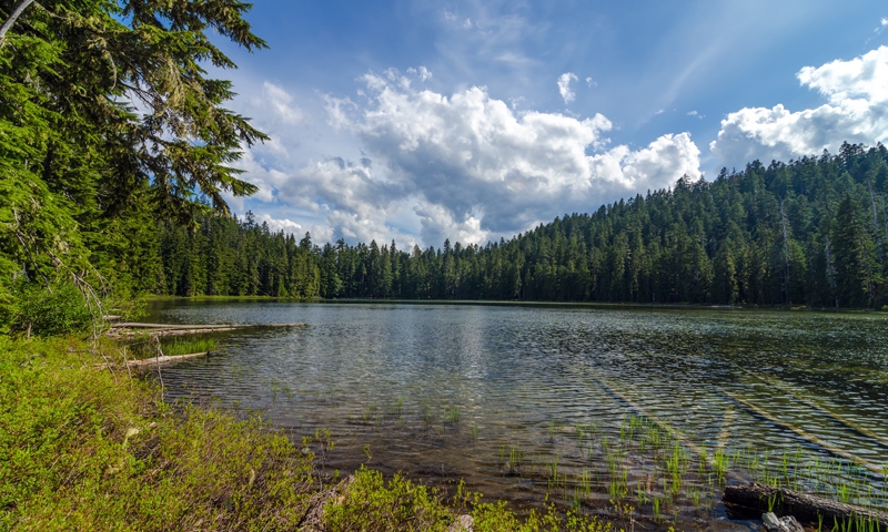 Twin Lakes Oregon