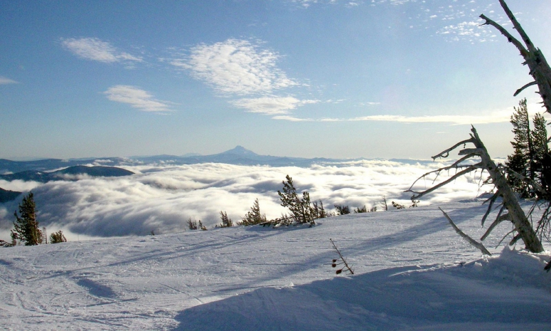 Ski Mt Hood