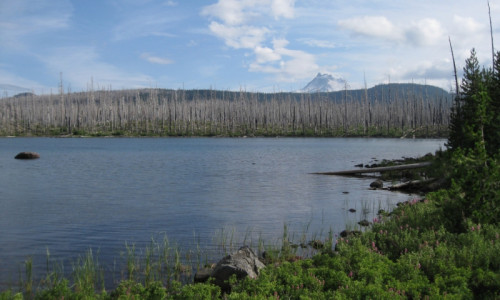 Olallie Lake