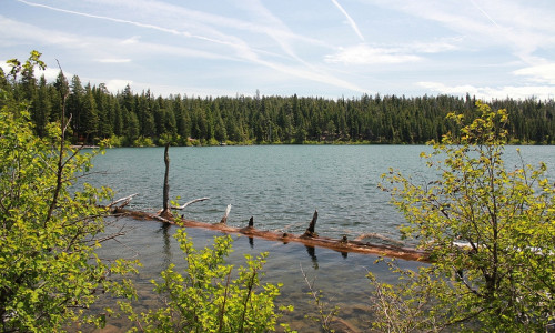 Suttle Lake