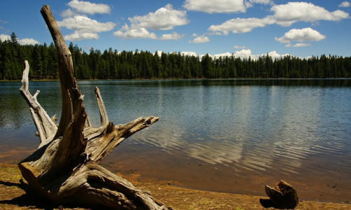 Twin Lakes