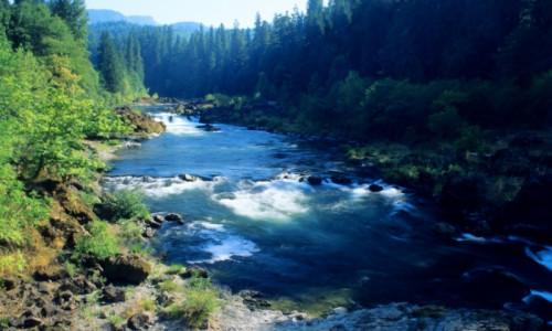 Deschutes National Forest