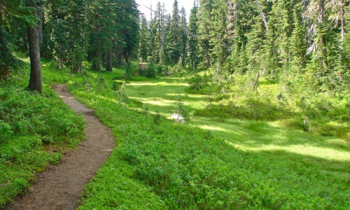 Mt Washington Wilderness