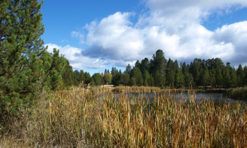 Sunriver Oregon