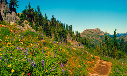 Pacific Crest Trail