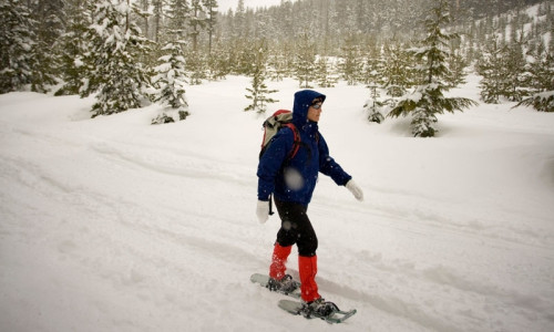 Snowshoeing